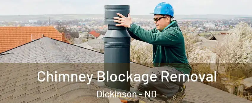  Chimney Blockage Removal Dickinson - ND